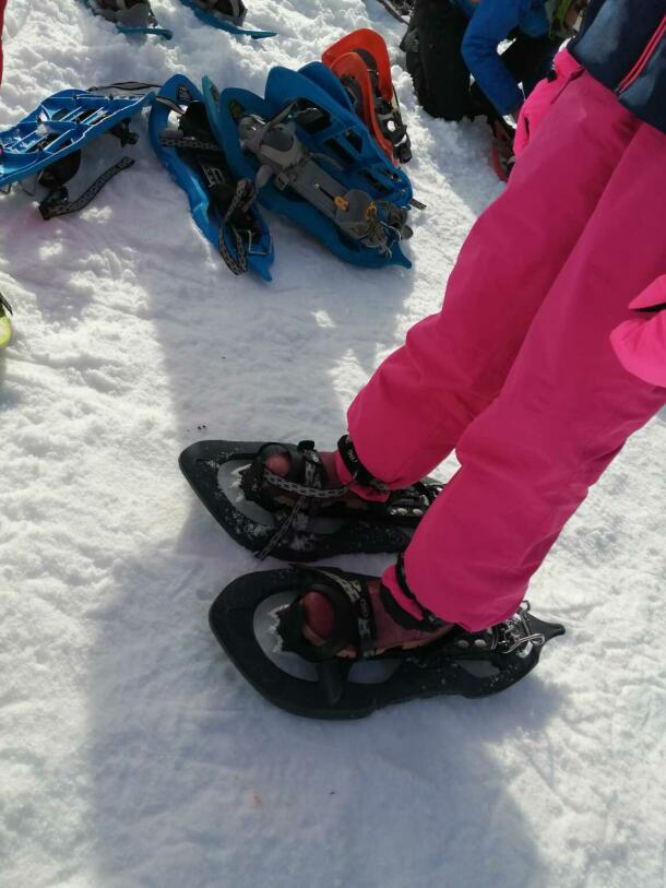 Snowshoeing experience 