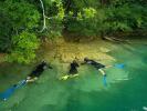 snorkeling activity with kids