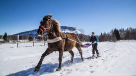 Ski Joering Annecy