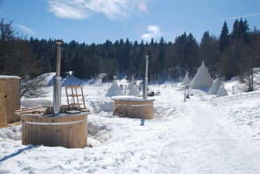 Bain Nordique et dégustation