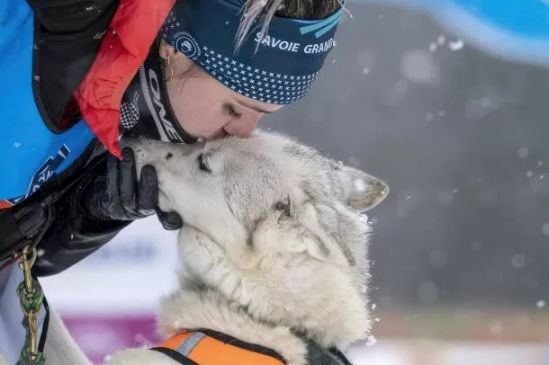 Chien de traineau incentive Savoie