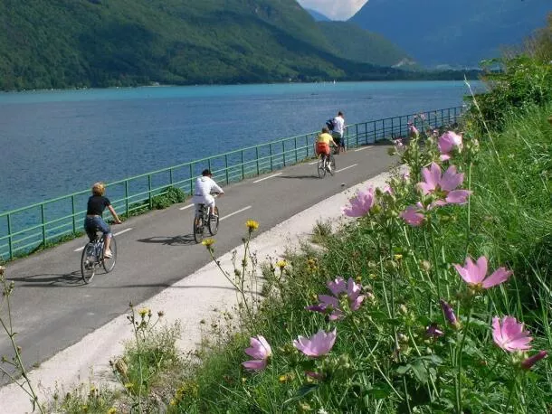 VAE électrique à Annecy & atelier génépi