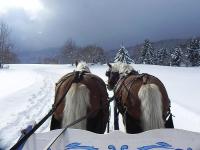 Traineau polonais Annecy