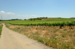 Les paysages à vélo