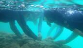 Underwater discovery