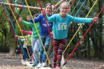 Parc de jeux dans les arbres