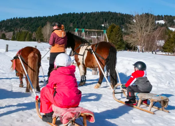 Poney-luge à 1h d'Annecy