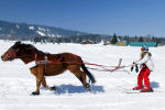 Ski Joering en Savoie 