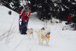 Sled dog ride Pays de Savoie