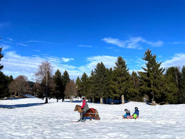 Poney-luge La Féclaz
