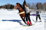 Ski Joering discovery near Annecy