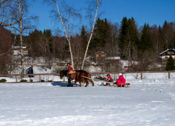 Poney-luge à 1h d'Annecy