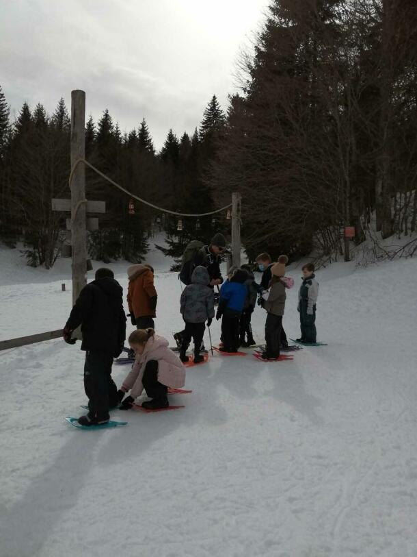 Supervised snowshoe hike