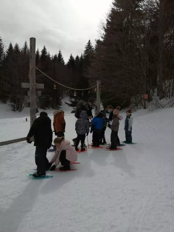 Rando raquettes encadrée