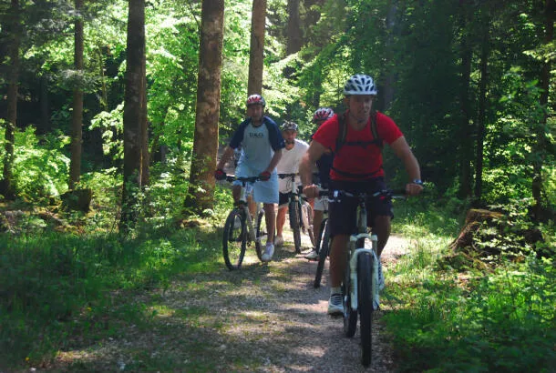 VTT Electrique Découverte Annecy Semnoz