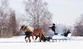 Russian Troika Sled annecy