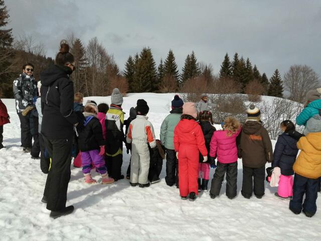 Educative Snowshoeing Hike