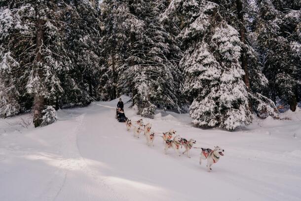 Baptême chien de traineau famille Annecy