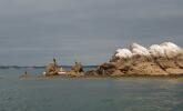 Découverte des paysages du Morbihan en kayak