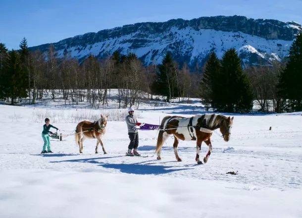 Ski Joering Annecy
