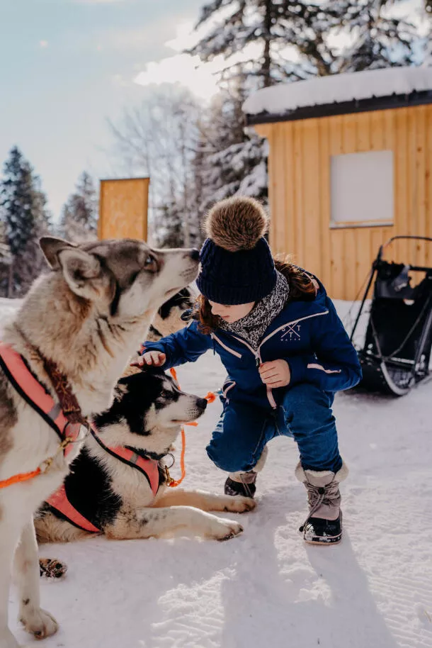 Dog sledding Annecy