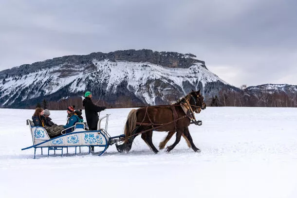 Balade en traineau Troika Russe dans les Alpes