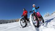 VTT on the snow