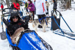 Introduction sled dogs Annecy