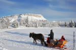 Traineau troika russe annecy