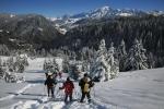 Snowshoeing hike and nordic bath for your seminar