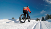 Electric snow bike