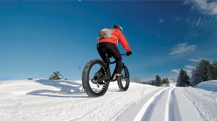 VTT des neiges électrique 