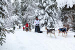 First sled dog ride for 4 people