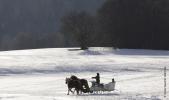 Traineau troika russe annecy