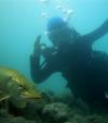Underwater Diving Annecy
