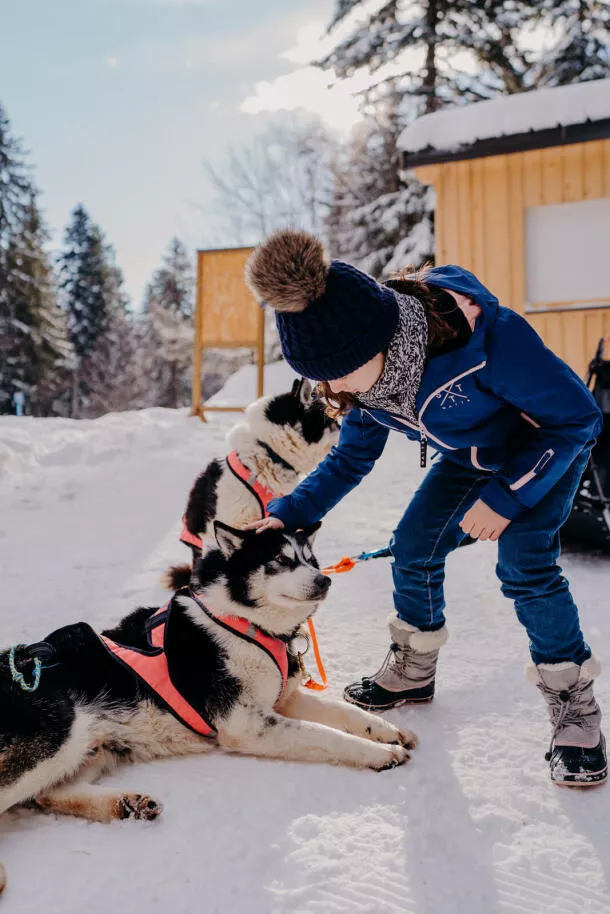 Dog sledding near Aix-les-Bains