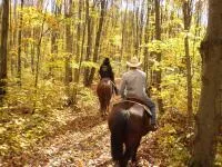 Randonnée à cheval avec monitrice au lac d'Annecy