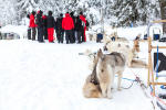 First sled dog ride for 3 people