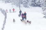 Sled dog introduction seminar Annecy