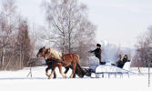 Polish Sled Annecy