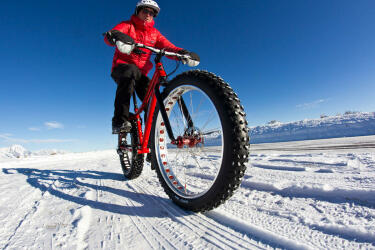 Fat Bike