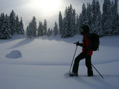 Privatized Snowshoeing hike