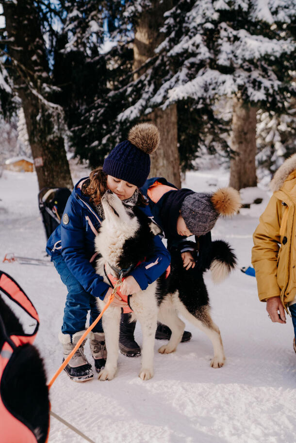 Baptême chien de traineau Annecy