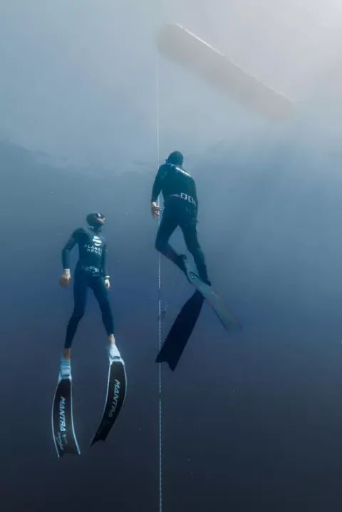 FreeDiving