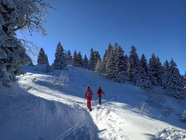 Snowshoeing