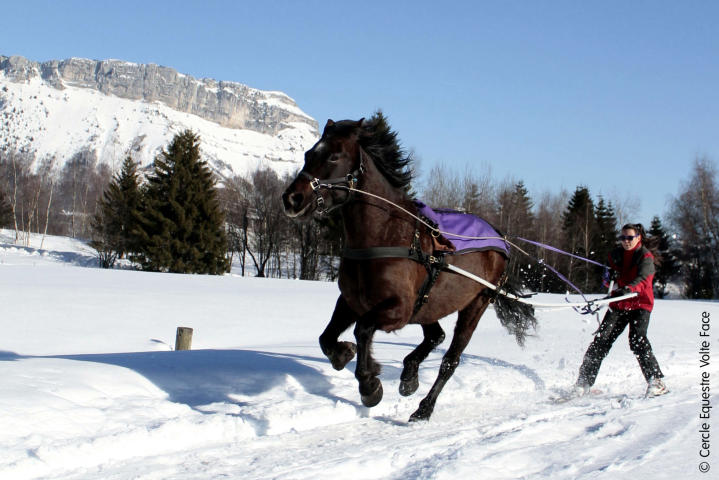 Ski Joëring et Traîneaux