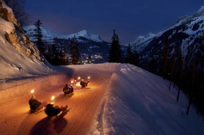 luge - séminaire - incentive - annecy - semnoz