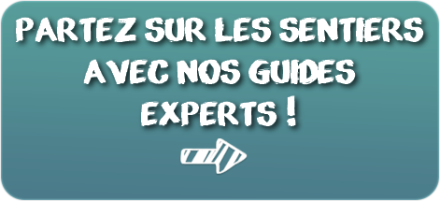 Partez sur les sentiers avec nos guides experts !