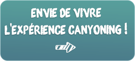 Expérience canyoning