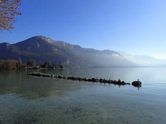 bord du lac annecy